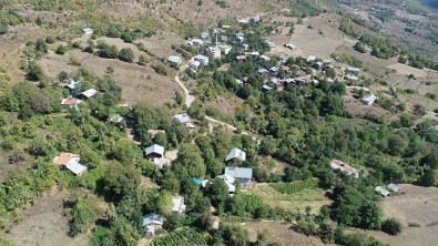 Şeyhoğlu Köyü