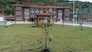 İmam Hatip Ortaokulu Bahçe Düzenlemesi Tamamlandı