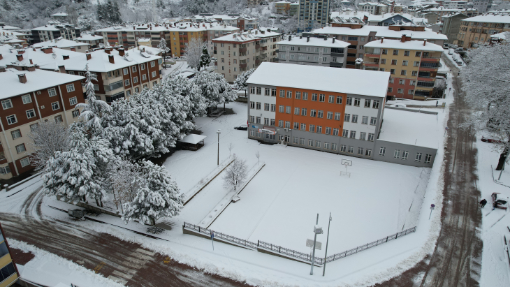 Bozkurt Çok Programlı Lisesi