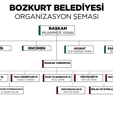 Organizasyon Şeması