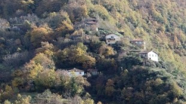 Kayalar Köyü