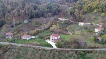 Sarıçiçek Köyü