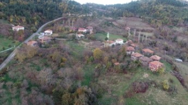 Sarıçiçek Köyü