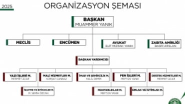 Organizasyon Şeması